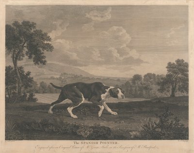[El puntero español de William Woollett