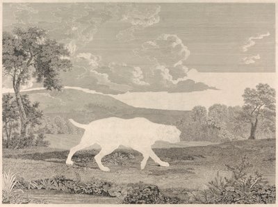 [El puntero español de William Woollett
