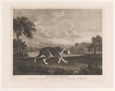 Pointer español en paisaje El pointer español (título sobre el objeto) de William Woollett