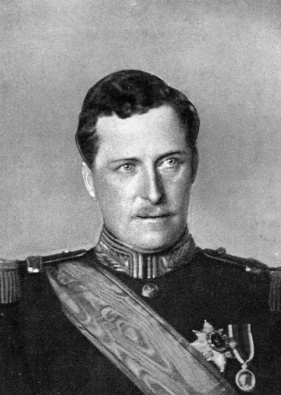 Albert, Rey de Bélgica, Primera Guerra Mundial, 1914 de William and Daniel Downey