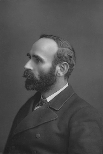Sr. Michael Davitt, c1891 de William and Daniel Downey