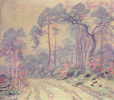 El camino del bosque de Willy Schlobach