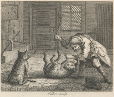 El cazador de ratas y los gatos de Wilson