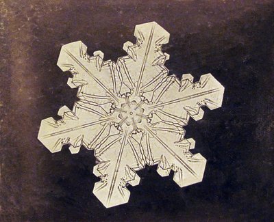 Estudio de un copo de nieve de Wilson A. Bentley