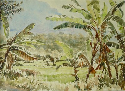 740 árboles de plátano, Ramboda de Wilson Clive
