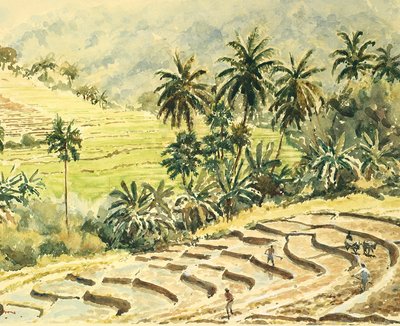 741 Dunhinda, preparando los campos de arroz de Wilson Clive