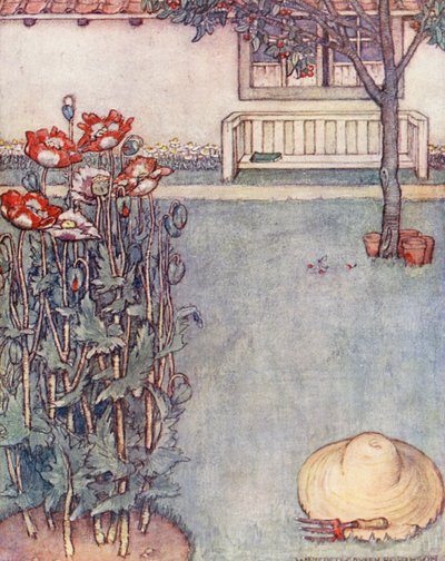 Libro infantil de jardinería: Amapolas (litografía en color) de Winifred Cayley Robinson