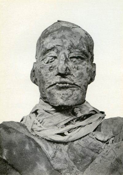 Cabeza de la momia de Ramsés III, faraón egipcio de la 20ª dinastía, c1156 a.C. de Winifred Mabel Brunton