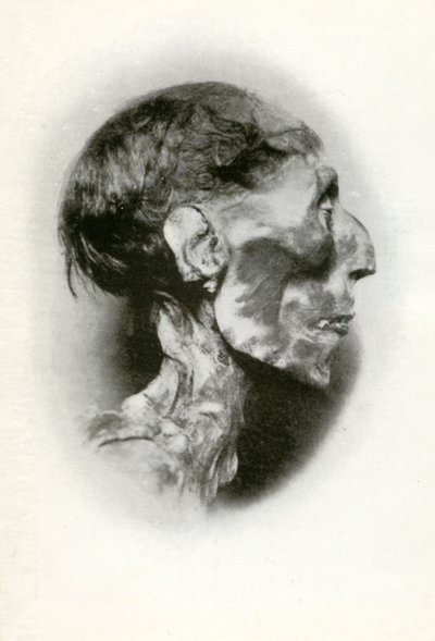 Cabeza de la momia de Ramsés II, faraón del Antiguo Egipto de la dinastía XIX, c. 1212 a.C., 1926 de Winifred Mabel Brunton