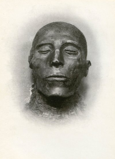 Cabeza de la momia de Seti I, faraón egipcio antiguo de la dinastía XIX, c1279 a.C., 1926 de Winifred Mabel Brunton