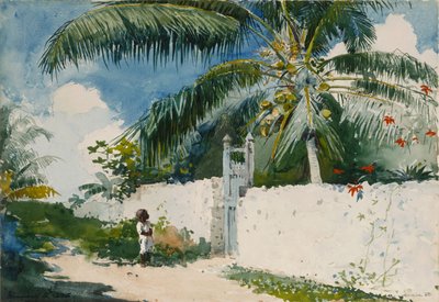 Un jardín en Nassau de Winslow Homer