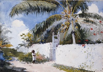 Un jardín en Nassau, 1885 de Winslow Homer