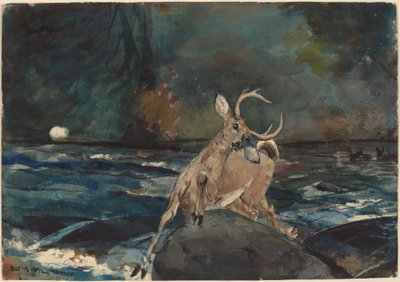 Un buen disparo, Adirondacks, 1892 de Winslow Homer