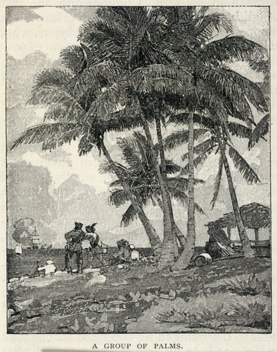 Un grupo de palmeras, de The Century Magazine, febrero de 1887 de Winslow Homer