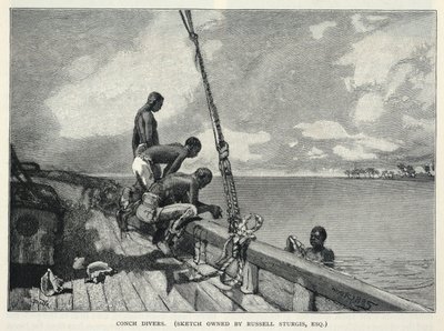 Un huracán, cultivo de cáñamo, en la isla de Abaco, un vendedor de flores, buceadores de caracolas, de The Century Magazine, febrero de 1887. de Winslow Homer