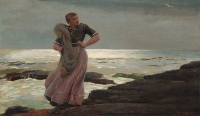 Una luz en el mar de Winslow Homer