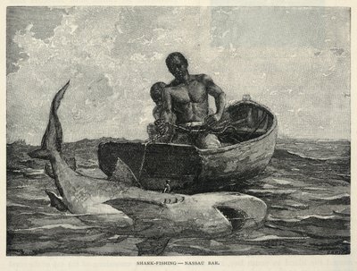 A Peddler, A Nassau Gateway, Shark-Fishing--Nassau Bar, de The Century Magazine, Febrero 1887 de Winslow Homer