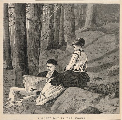 A Quiet Day in the Woods, de Appletons