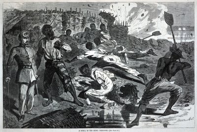  de Winslow Homer