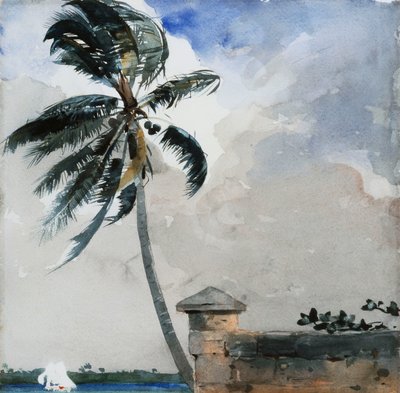 Una brisa tropical, Nassau, 1889-90 de Winslow Homer