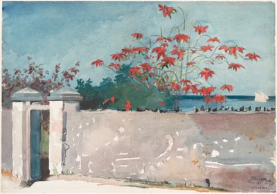 Un muro, Nassau de Winslow Homer