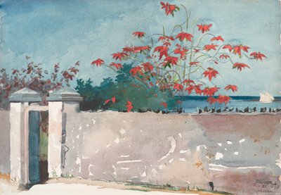 Una pared, Nassau, 1898 de Winslow Homer
