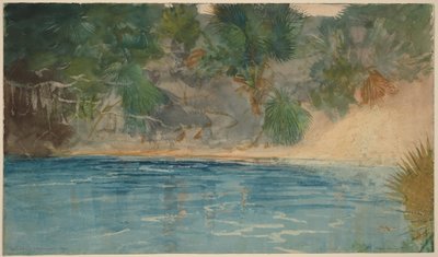  de Winslow Homer