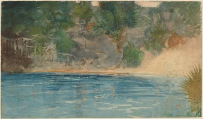 Manantial Azul, Florida, 1890 de Winslow Homer