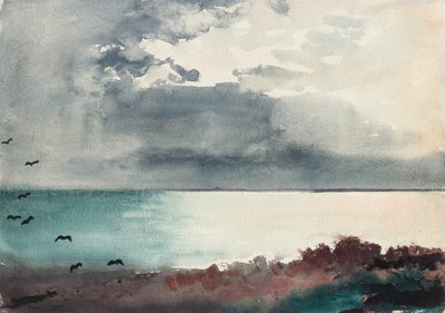 Tormenta, costa de Maine de Winslow Homer