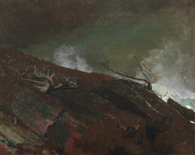 Costa de Maine de Winslow Homer