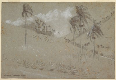 Dibujo, Ladera de Cuba, 1885 de Winslow Homer