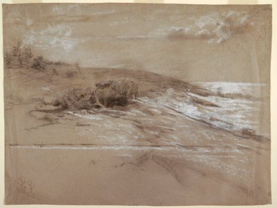Dibujo, Seacoast with Scrub Pines, Prout