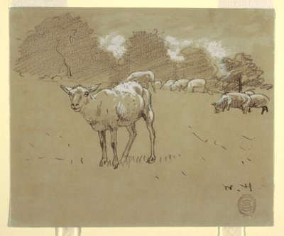 Dibujo, Ovejas pastando en un campo, ca. 1875-78 de Winslow Homer