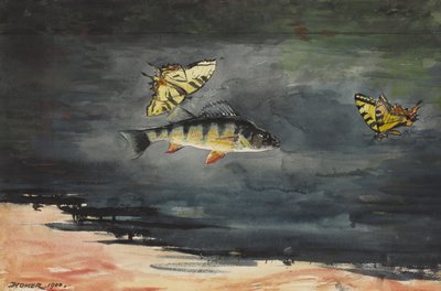 Peces y mariposas, 1900 de Winslow Homer