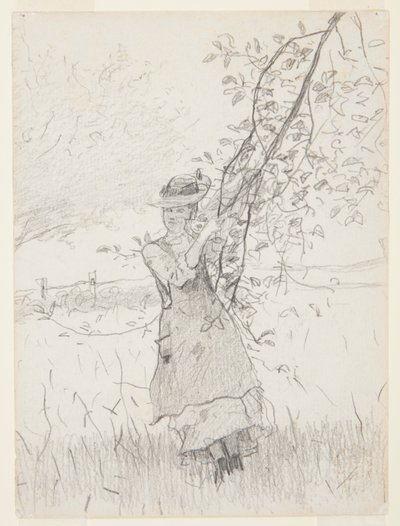 Niña sosteniendo una rama de manzano de Winslow Homer