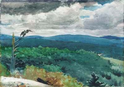 Paisaje montañoso, 1894 de Winslow Homer