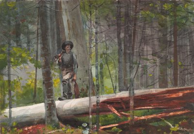  de Winslow Homer