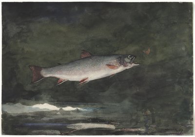  de Winslow Homer