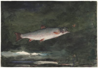 Trucha saltando, 1889 de Winslow Homer