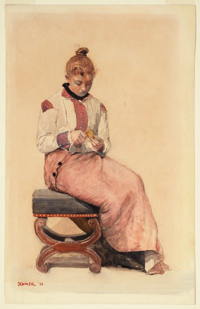  de Winslow Homer