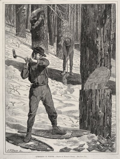  de Winslow Homer