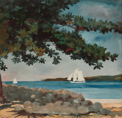Nassau: Agua y velero, 1899 de Winslow Homer
