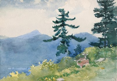 North Woods Club, Adirondacks (El Tete-a-Tete interrumpido) de Winslow Homer