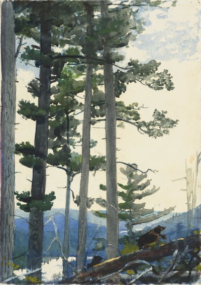 Antiguos colonos de Winslow Homer