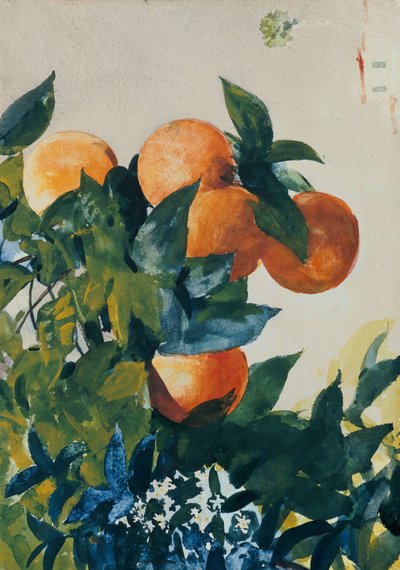 Naranjas en una rama, 1885 de Winslow Homer