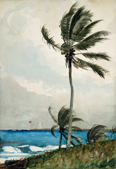 Palmera, Nassau, 1898 de Winslow Homer