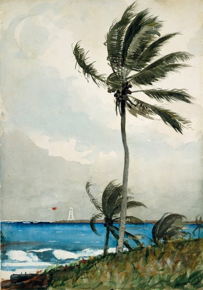Palmera, Nassau, 1898 de Winslow Homer
