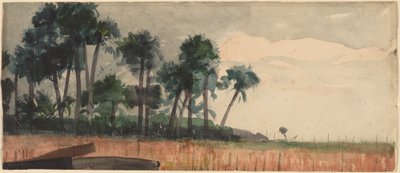 Palmeras, rojo de Winslow Homer
