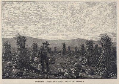 Pumpkins Among the Corn, de Scribner
