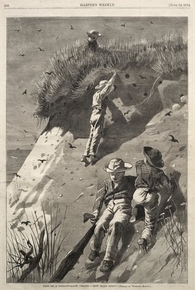 Incursión en una colonia de aviones zapadores - «¿Cuántos huevos?» de Winslow Homer